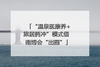 “温泉医康养+旅居腾冲”模式借南博会“出圈”