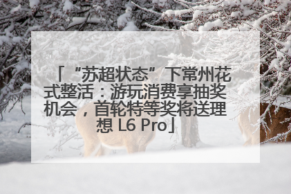 “苏超状态”下常州花式整活：游玩消费享抽奖机会，首轮特等奖将送理想 L6 Pro