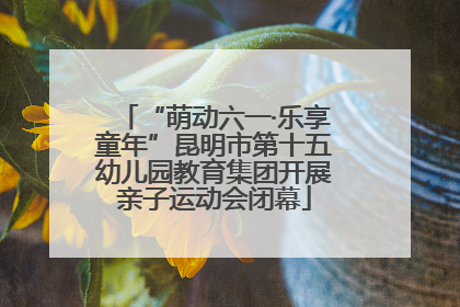 “萌动六一·乐享童年”昆明市第十五幼儿园教育集团开展亲子运动会闭幕
