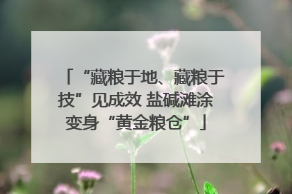 “藏粮于地、藏粮于技”见成效 盐碱滩涂变身“黄金粮仓”