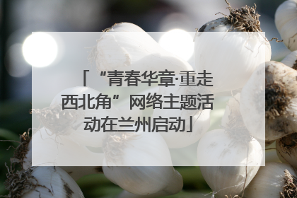 “青春华章·重走西北角”网络主题活动在兰州启动