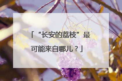“长安的荔枝”最可能来自哪儿？