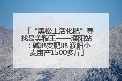 “黑松土活化肥”寻找最美粮王——濮阳站：碱地变肥地 濮阳小麦亩产1500多斤