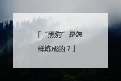 “黑豹”是怎样炼成的？