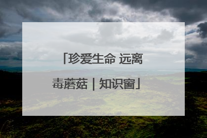 珍爱生命 远离毒蘑菇｜知识窗