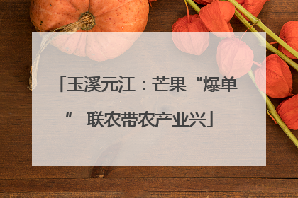 玉溪元江：芒果“爆单” 联农带农产业兴