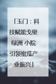 玉门：科技赋能戈壁绿洲 小院引领蜜瓜产业振兴
