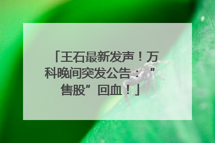 王石最新发声！万科晚间突发公告：“售股”回血！