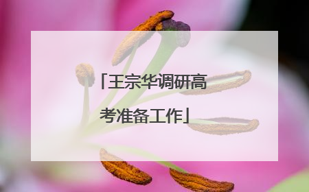 王宗华调研高考准备工作