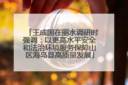 王成国在丽水调研时强调：以更高水平安全和法治环境服务保障山区海岛县高质量发展