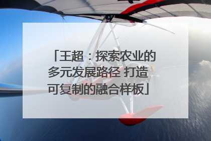 王超：探索农业的多元发展路径 打造可复制的融合样板