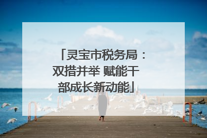 灵宝市税务局：双措并举 赋能干部成长新动能