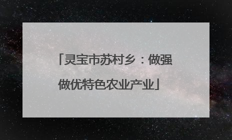 灵宝市苏村乡：做强做优特色农业产业
