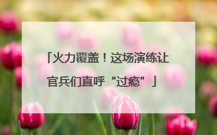 火力覆盖！这场演练让官兵们直呼“过瘾”