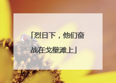 烈日下，他们奋战在戈壁滩上