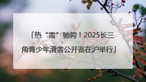 热“雪”驰骋！2025长三角青少年滑雪公开赛在沪举行
