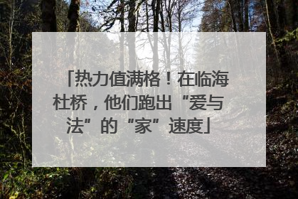 热力值满格！在临海杜桥，他们跑出“爱与法”的“家”速度