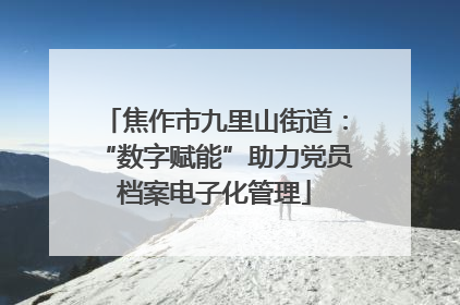 焦作市九里山街道：“数字赋能”助力党员档案电子化管理