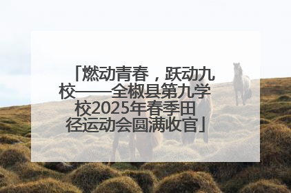 燃动青春，跃动九校——全椒县第九学校2025年春季田径运动会圆满收官