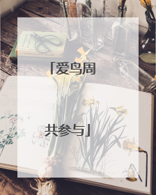 爱鸟周 共参与