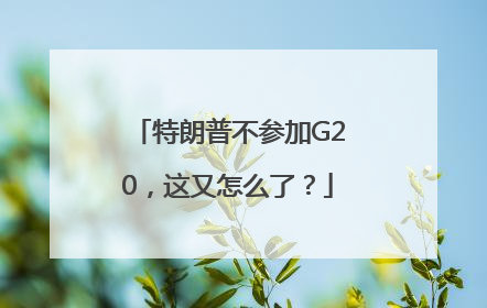 特朗普不参加G20，这又怎么了？