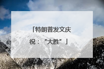 特朗普发文庆祝：“大胜”