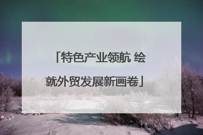 特色产业领航 绘就外贸发展新画卷
