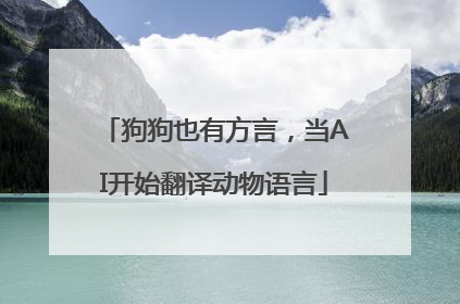 狗狗也有方言，当AI开始翻译动物语言