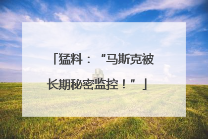 猛料：“马斯克被长期秘密监控！”