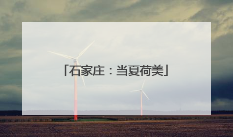 石家庄：当夏荷美