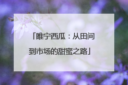 睢宁西瓜：从田间到市场的甜蜜之路