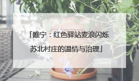 睢宁：红色驿站麦浪闪烁 苏北村庄的温情与治理