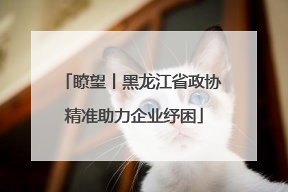 瞭望丨黑龙江省政协精准助力企业纾困