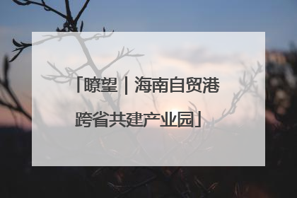 瞭望｜海南自贸港跨省共建产业园