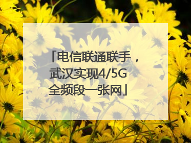 电信联通联手，武汉实现4/5G全频段一张网