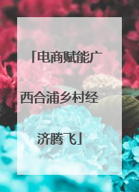 电商赋能广西合浦乡村经济腾飞