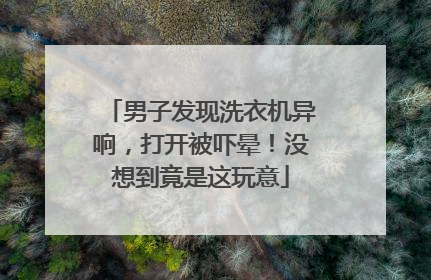 男子发现洗衣机异响，打开被吓晕！没想到竟是这玩意