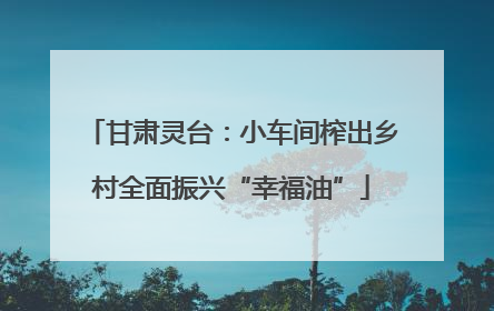 甘肃灵台：小车间榨出乡村全面振兴“幸福油”