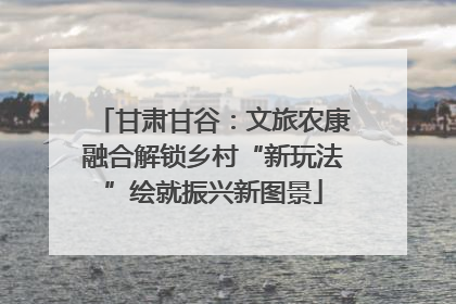 甘肃甘谷：文旅农康融合解锁乡村“新玩法”绘就振兴新图景