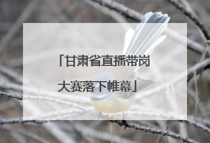甘肃省直播带岗大赛落下帷幕