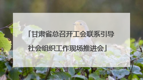 甘肃省总召开工会联系引导社会组织工作现场推进会