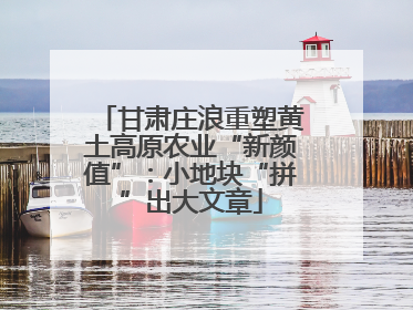 甘肃庄浪重塑黄土高原农业“新颜值”：小地块“拼”出大文章
