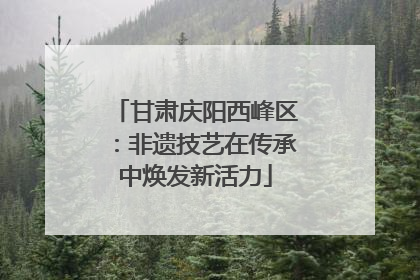 甘肃庆阳西峰区：非遗技艺在传承中焕发新活力