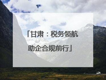 甘肃：税务领航 助企合规前行