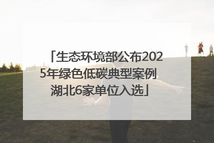 生态环境部公布2025年绿色低碳典型案例 湖北6家单位入选