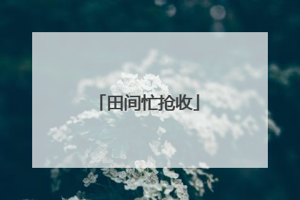 田间忙抢收