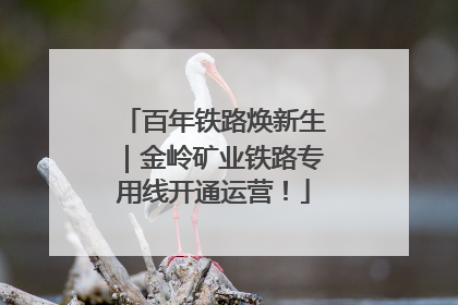 百年铁路焕新生｜金岭矿业铁路专用线开通运营！