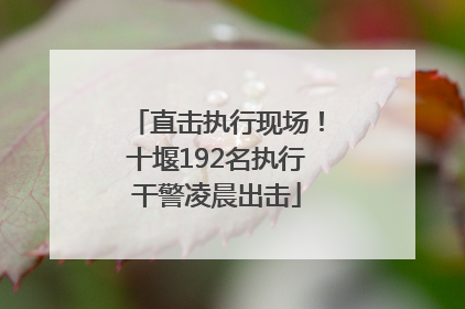 直击执行现场！十堰192名执行干警凌晨出击
