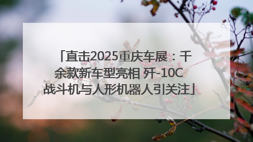 直击2025重庆车展：千余款新车型亮相 歼-10C战斗机与人形机器人引关注