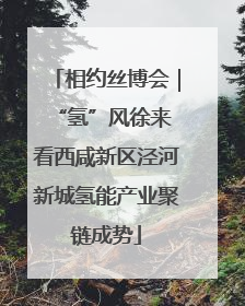 相约丝博会｜“氢”风徐来 看西咸新区泾河新城氢能产业聚链成势